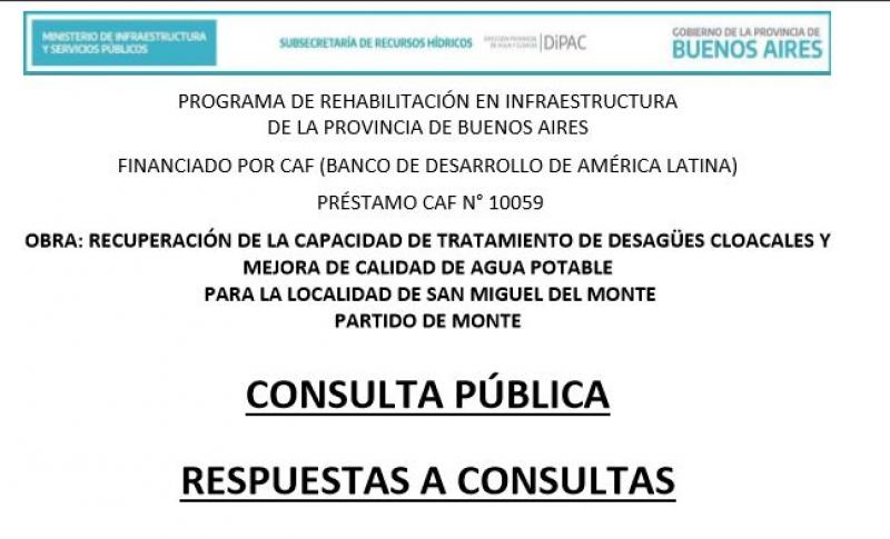 Monte: Respuestas a las inquietudes formuladas en la Consulta Pública
